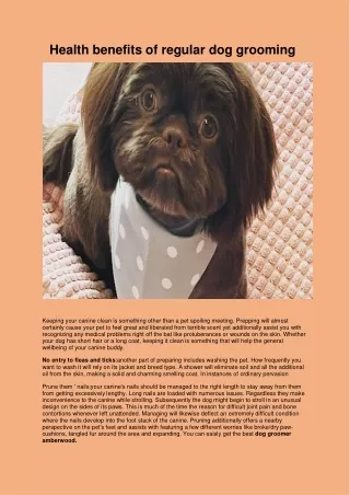 health benefits of regular dog grooming