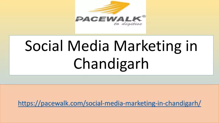 social media marketing in chandigarh