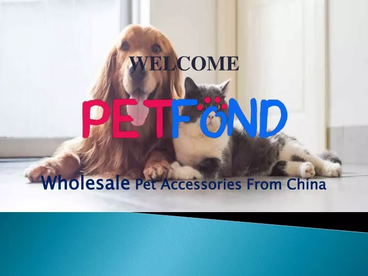 taizhou petfond electronic tech co ltd