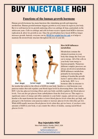 functions of the human growth hormone