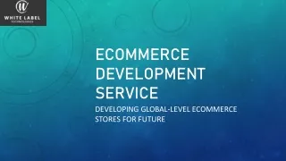 ECommerce Development Service | ECommerce App Developer