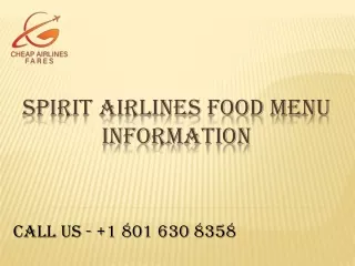 Spirit Airlines food menu information