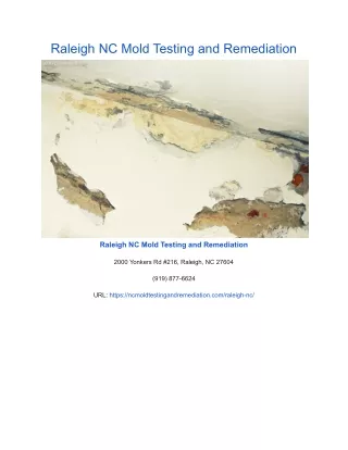 raleigh nc mold testing and remediation
