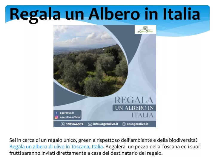 regala un albero in italia