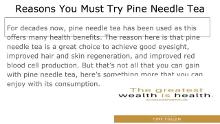 Reasons You Must Try Pine Needle Tea