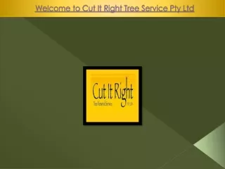 Best Tree Removal Services In Mt Martha | Cut It Right Tree Service Pty Ltd