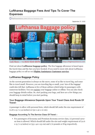 flightsassistance.com-Lufthansa Baggage Fees And Tips To Cover The Expenses