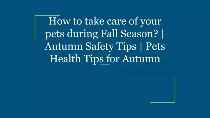 how to take care of your pets during fall season