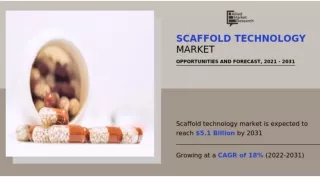 What is Scaffold Technology ?