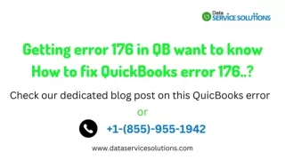 QuickBooks Error 176