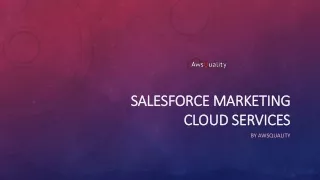 Salesforce Marketing Cloud Services