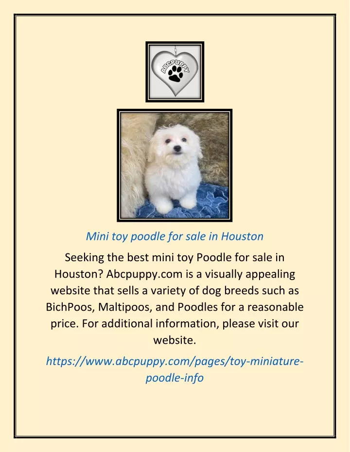 mini toy poodle for sale in houston