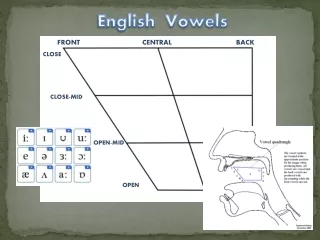 -diphthongs-and-triphthongs