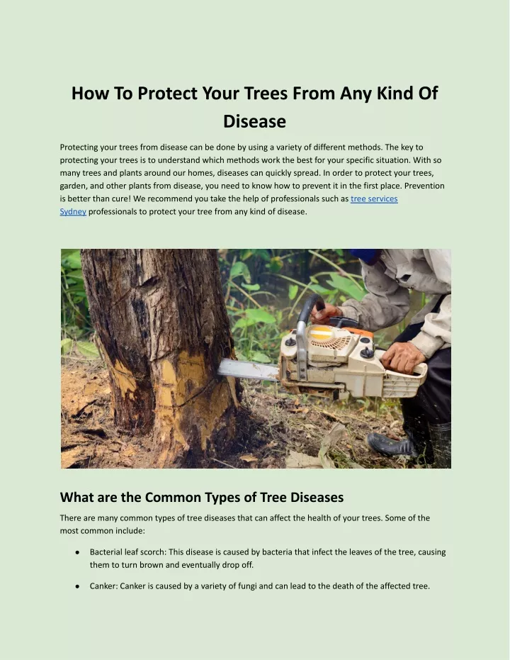 how to protect your trees from any kind of disease