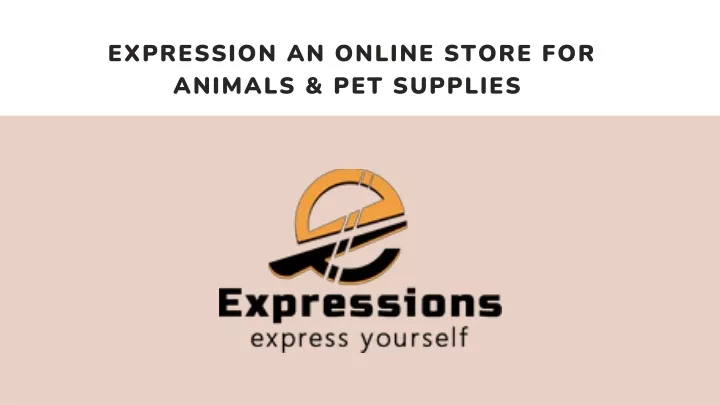 expression an online store for animals