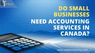 Do Small Businesses Need Accounting Services in Canada