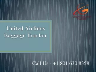 United Airlines Baggage Tracker