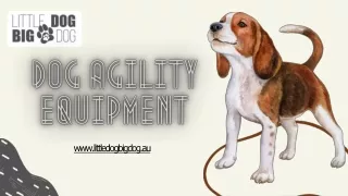 Your Fur Babies Deserve Good Quality Dog Agility Kit - Get Now