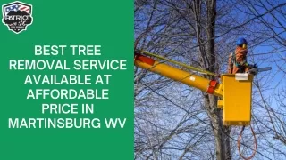 Best Tree Removal Service Available at Affordable Price In Martinsburg WV