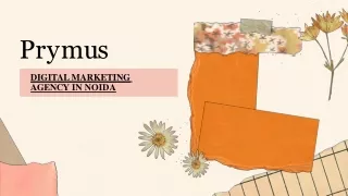 p r y m u s
