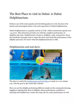 The Best Place to visit in Dubai_ is Dubai Dolphinarium