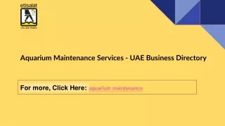 Aquarium Maintenance Services - UAE Business Directory