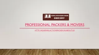 Professional Packers & Movers