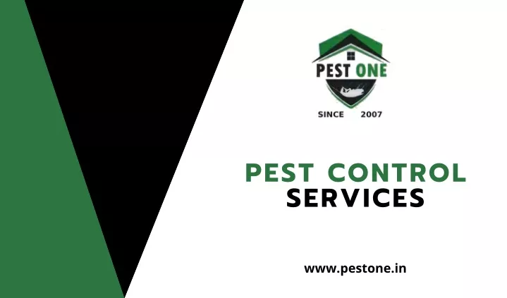 PPT - Best Pest Control Services Company In Udaipur PowerPoint ...
