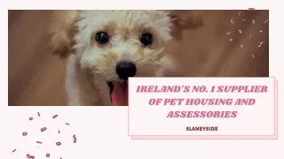Shop for dog house Ireland