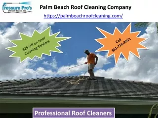 Palm Beach Roof Cleaning Company