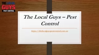 Cockroach Pest Control Melbourne | Thelocalguyspestcontrol.com.au