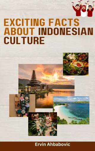 Ervin Ahbabovic | Why You Should Visit Indonesian?