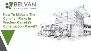 how to mitigate the common risks in western