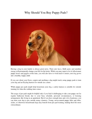 why should you buy puppy pads