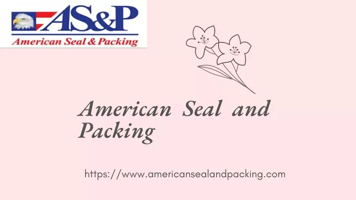 american seal and packing