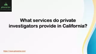 What services do private investigators provide in California