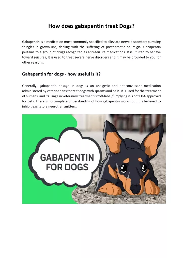 how does gabapentin treat dogs