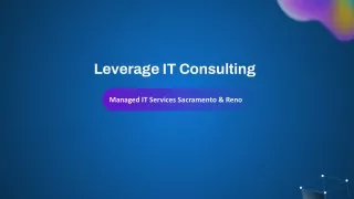 leverage it consulting