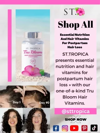 Shop All (3)