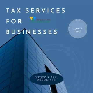 Tax Services for Businesses _ WTA