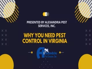Why You Need Pest Control in Virginia