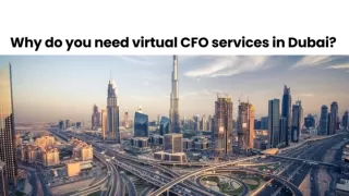 Virtual CFO Services In Dubai | #UAE