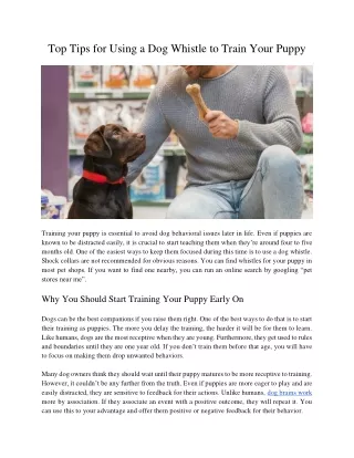 top tips for using a dog whistle to train your