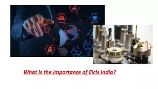 what is the importance of elcis india