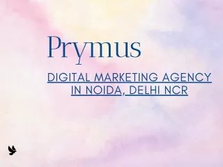 prymus digital marketing agency in noida delhi ncr