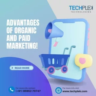 Advantages of Organic Marketing and Paid Media Marketing