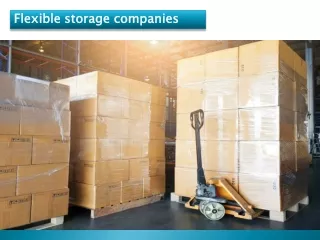 Flexible storage companies