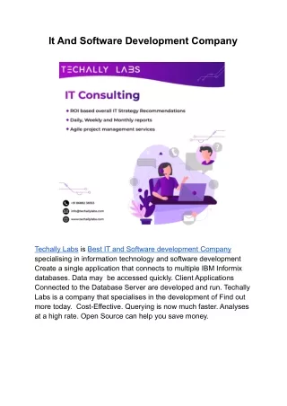 it and software development company