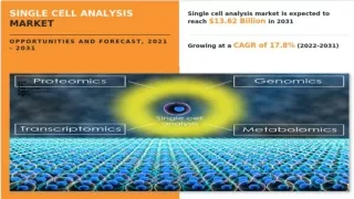 What is Single Cell Analysis?