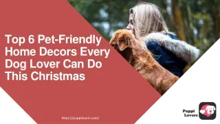 Top 6 Pet-Friendly Home Decors Every Dog Lover Can Do This Christmas